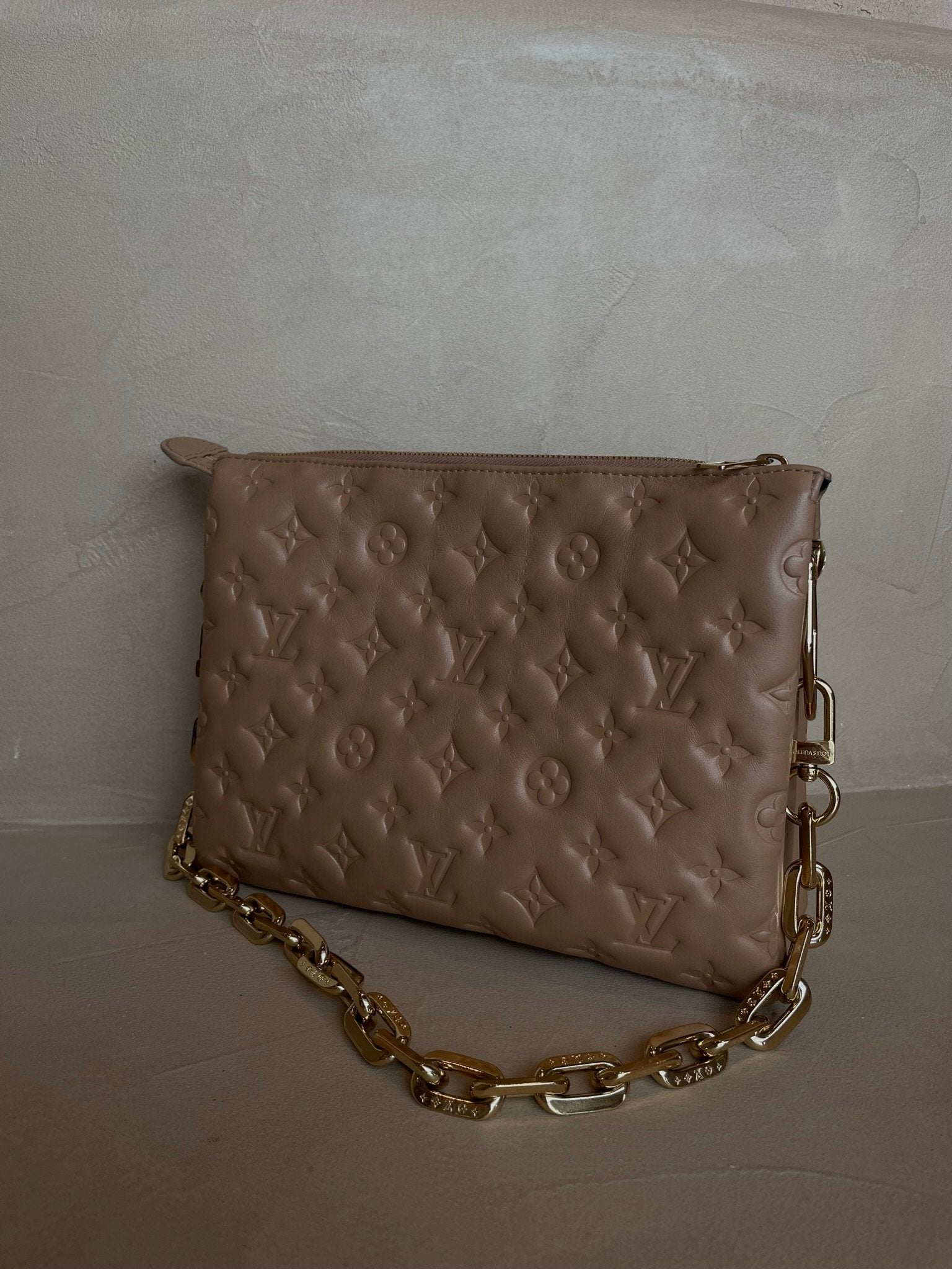 Louis Vuitton Coussin PM