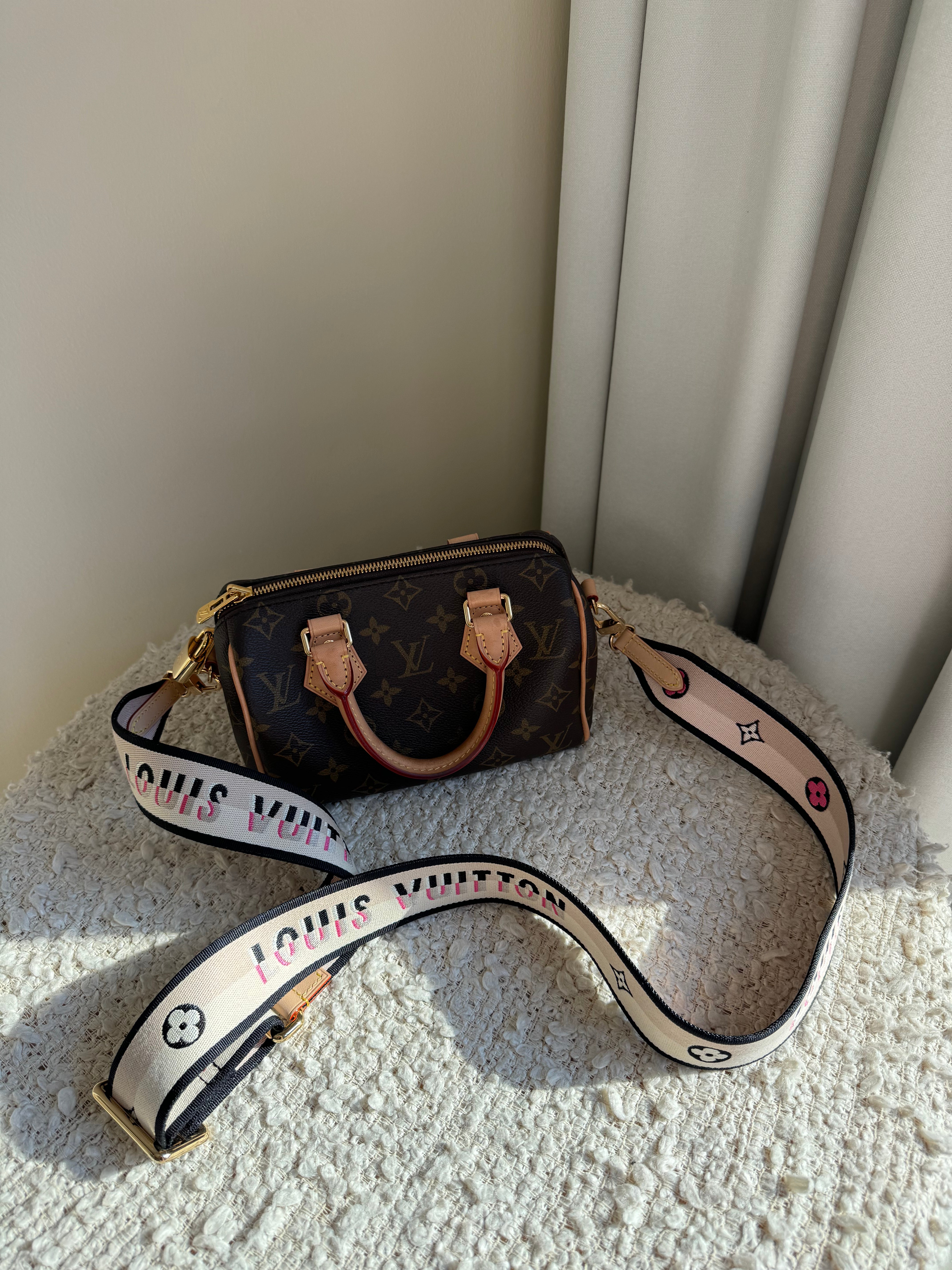 Louis Vuitton speedy 20 Bag